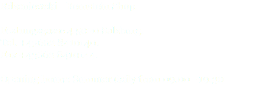 Rdzeniewski - Bernstein Shop. Festungsgasse 4 5020 Salzburg. Tel. +43662 8410140. Fax +43662 8410144. Opening hours: Summer daily from 09.00 - 19.30 